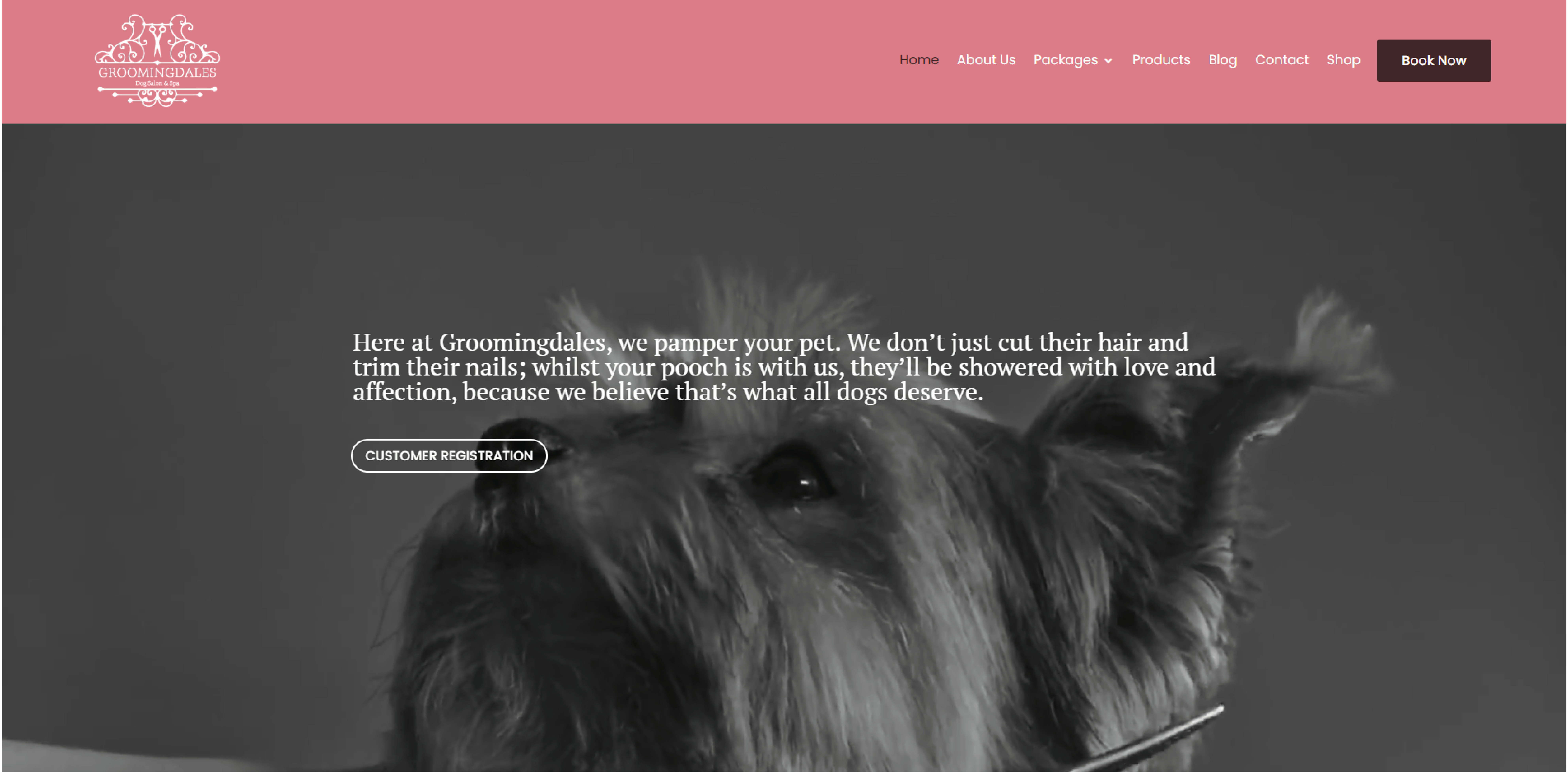 Groomingdale - New Website