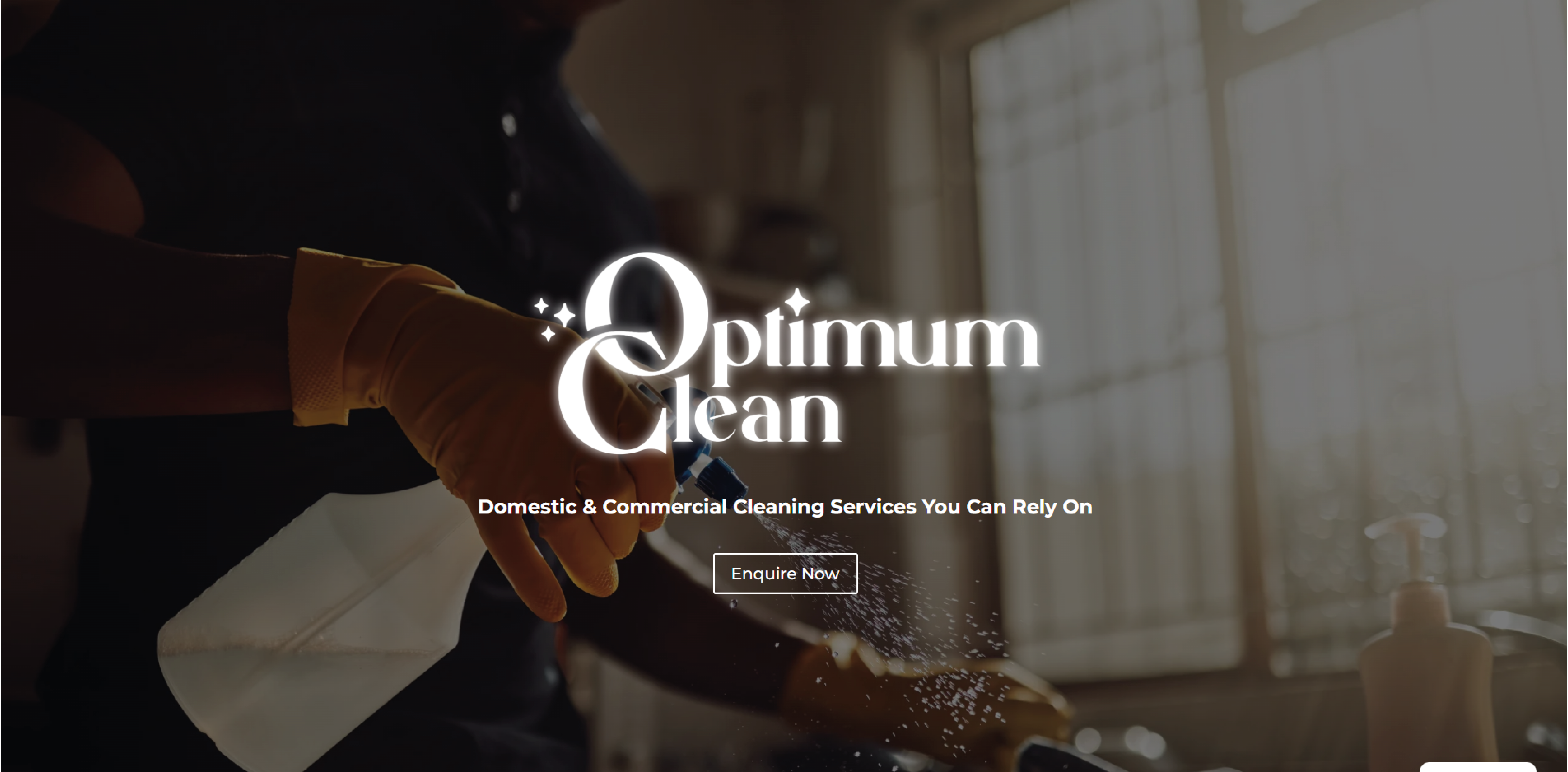 Optimum Clean - New Website